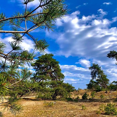 Bonte Specht: Tot Rust Komen In De Natuur! オッテルロ エクステリア 写真