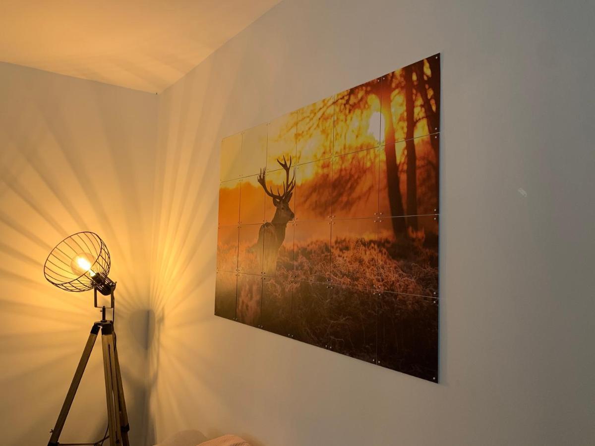 Bonte Specht: Tot Rust Komen In De Natuur! オッテルロ エクステリア 写真