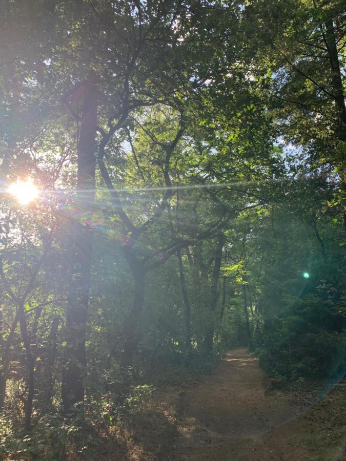 Bonte Specht: Tot Rust Komen In De Natuur! オッテルロ エクステリア 写真