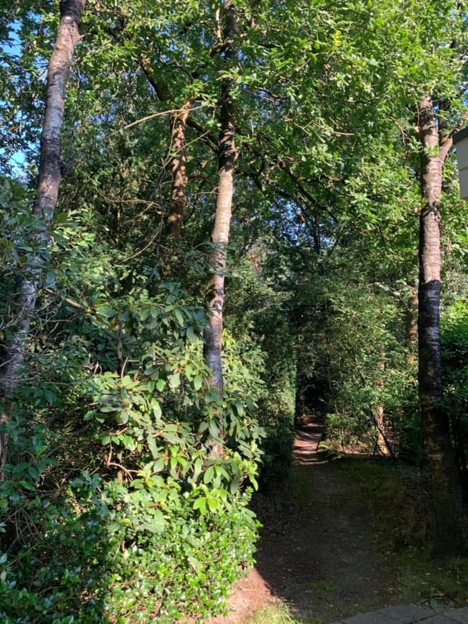 Bonte Specht: Tot Rust Komen In De Natuur! オッテルロ エクステリア 写真