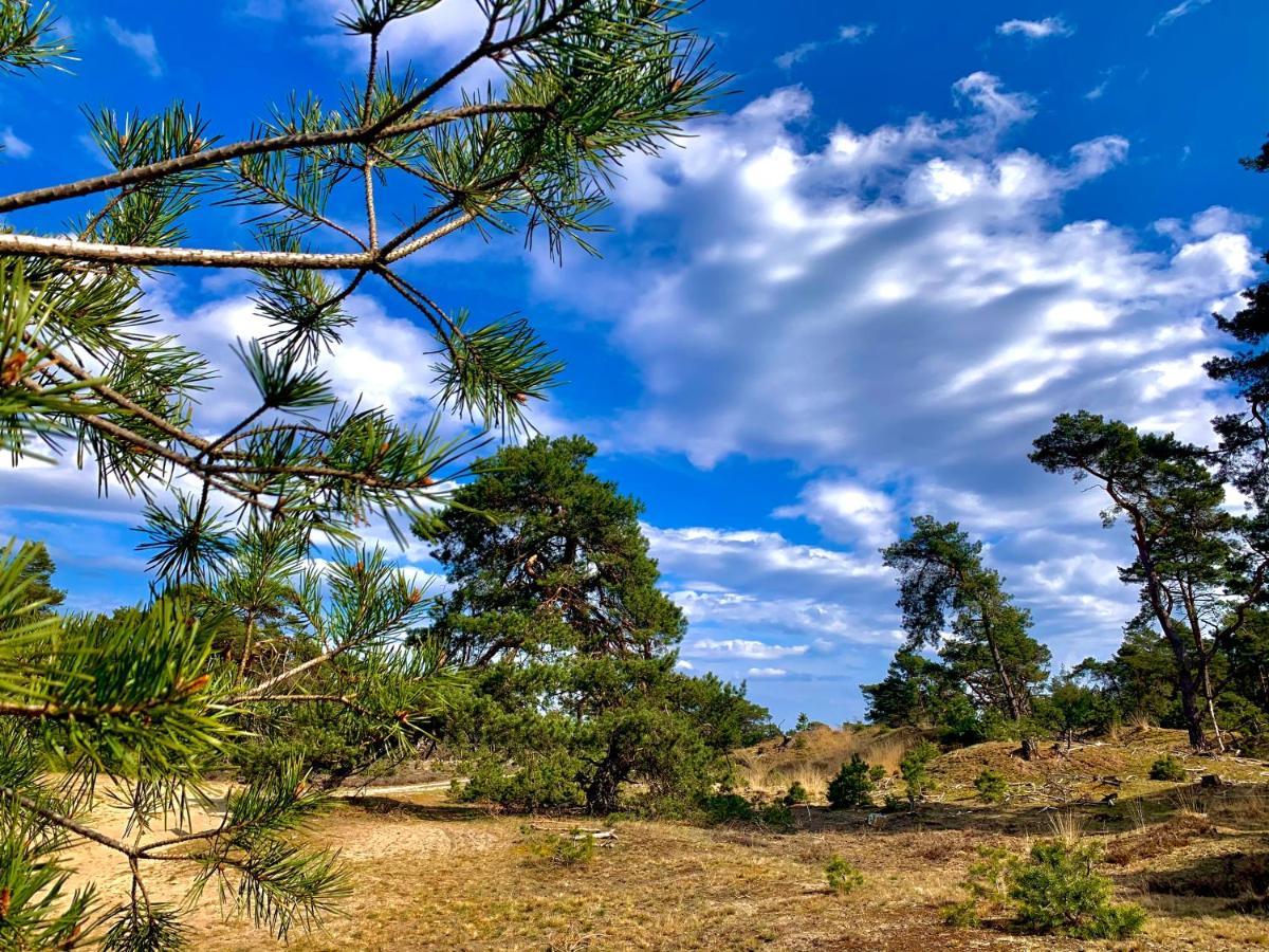 Bonte Specht: Tot Rust Komen In De Natuur! オッテルロ エクステリア 写真