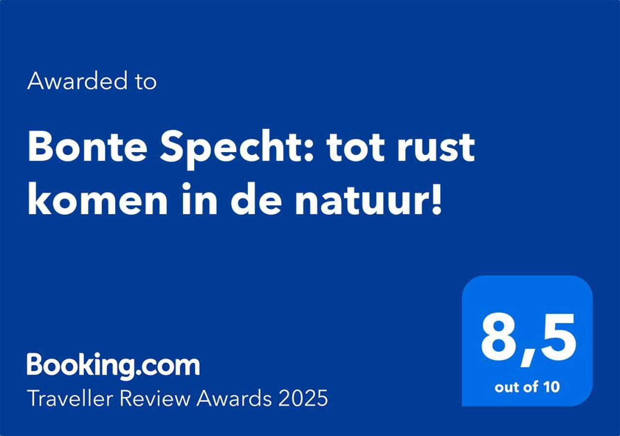 Bonte Specht: Tot Rust Komen In De Natuur! オッテルロ エクステリア 写真
